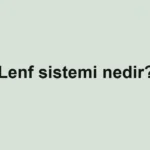 lenf-sistemi-nedir